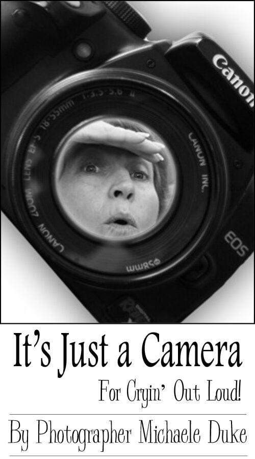 Mike's Camera Column logo
